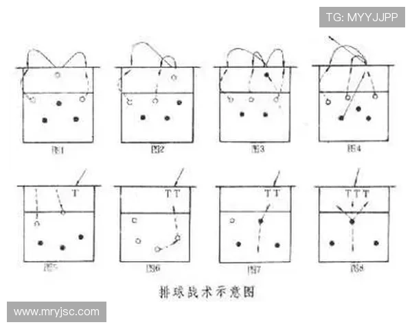 南京排球队在邀请赛中的灵活性展现与战术调整分析